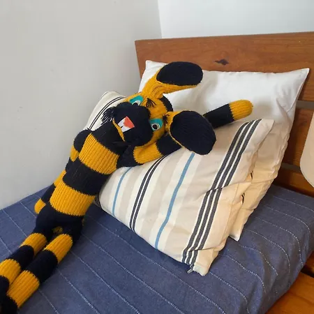 Dom wakacyjny The Painters House *