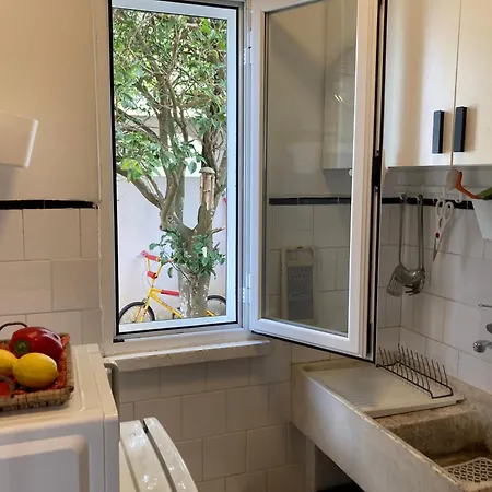 The Painters House *